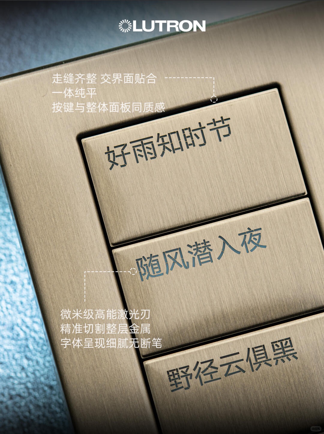 帕拉丁（Palladiom） 更多图示